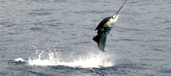 Quepos Costa Rica Fishing