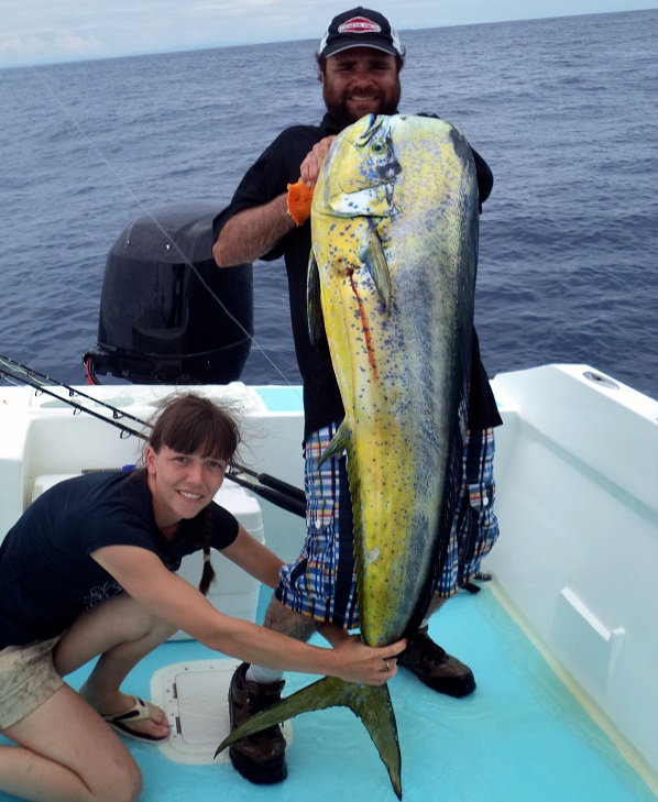 Quepos Dorado